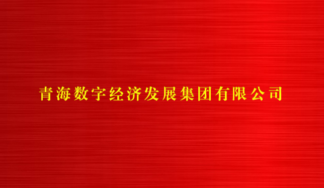 青海數字經濟發展集團有限公司