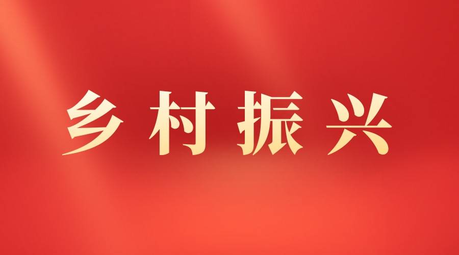 就業幫扶促增收 托起群眾“致富夢” 青海國投駐化隆縣群科鎮乙沙二村駐村工作隊工作紀實