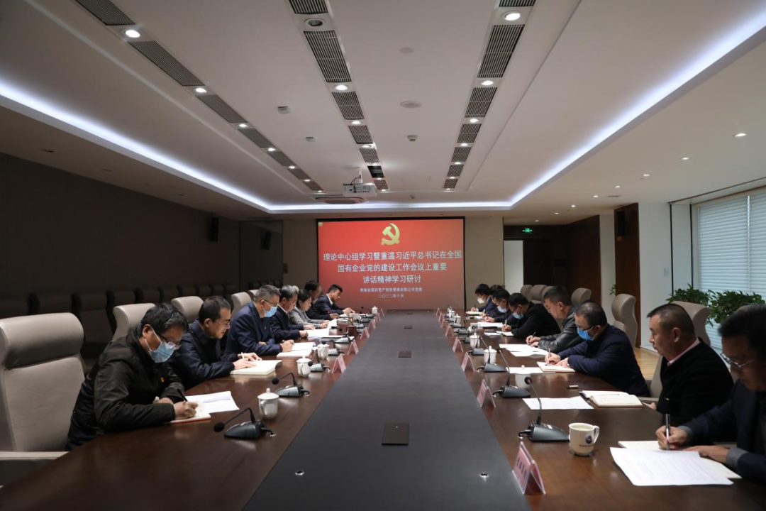 青海國投黨委召開理論中心組學習暨重溫習近平總書記重要講話精神學習研討會