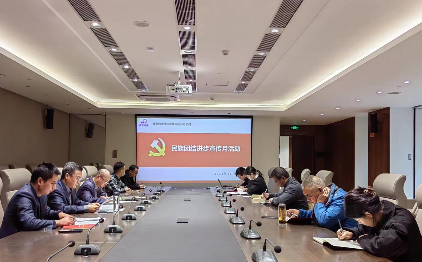 青數集團開展民族團結進步宣傳月主題黨日活動