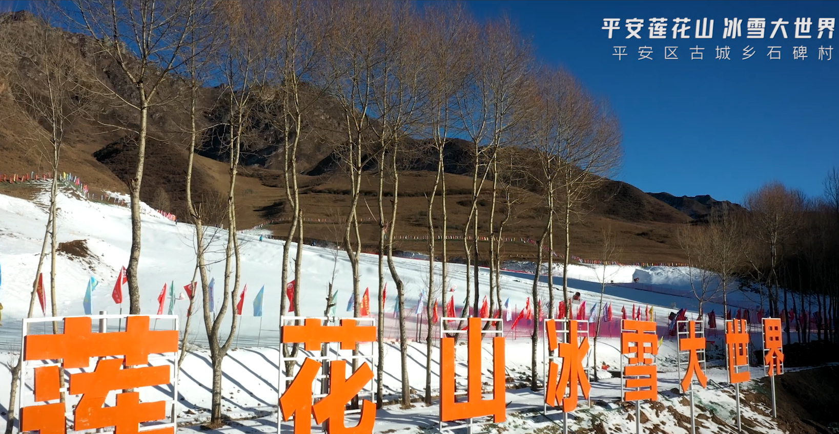 青海國投助力鄉村振興