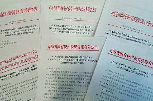 高位統籌 聯動推進——青海國投黨委主題教育高質量開局起步