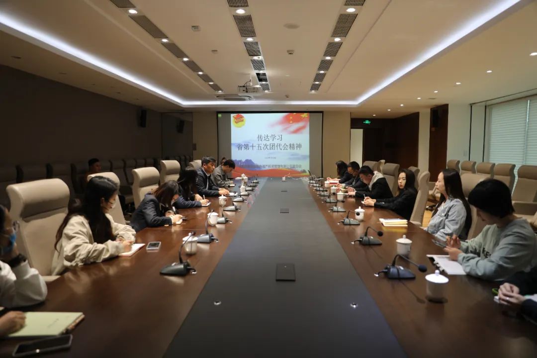 青海國投團(tuán)委召開團(tuán)員大會(huì)專題傳達(dá)學(xué)習(xí)省第十五次團(tuán)代會(huì)精神