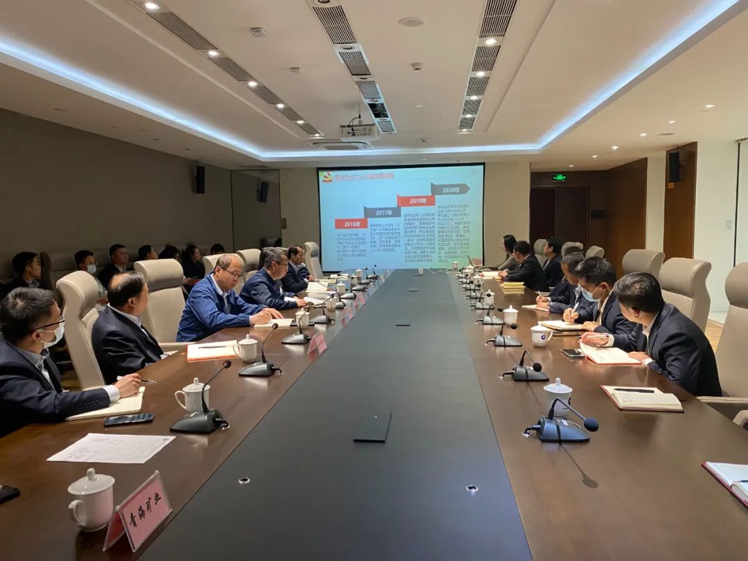 規范公司治理、提升治理效能—青海國投黨委委員、副總經理姜弘講授主題教育專題黨課