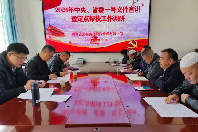 青海國投深入聯點村開展“一號文件”宣講暨定點幫扶調研工作