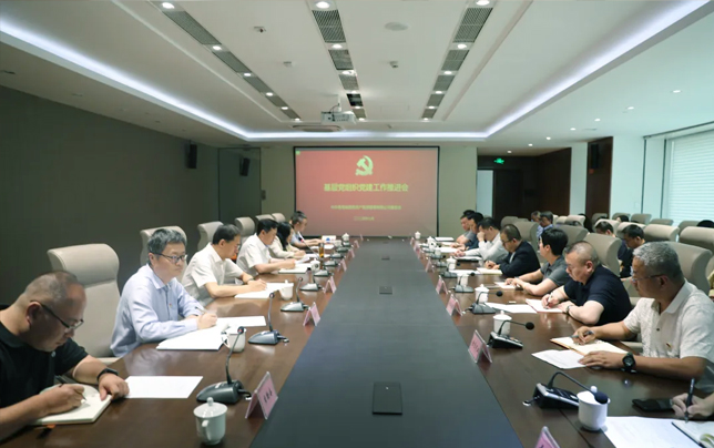 青海國投黨委召開基層黨建工作推進會