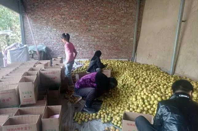 網頁新聞圖片大小模板psd 網頁新聞圖片大小模板psd