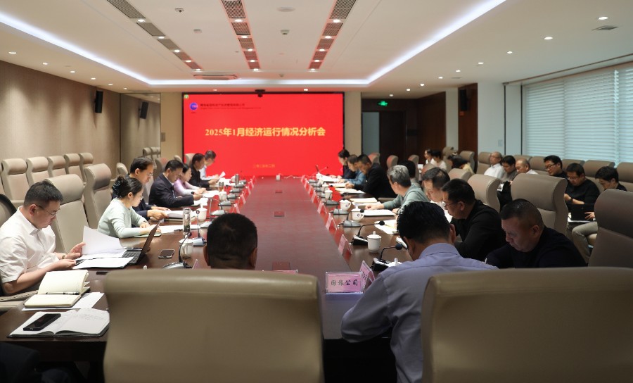 青海國投召開2025年1月經濟運行情況分析會